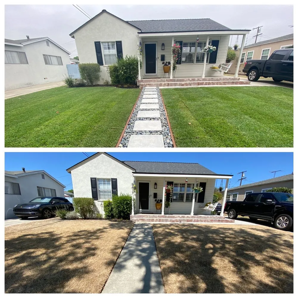 Affordable yard maintenance in Anaheim, CA by Garcia Tree Service and Landscaping