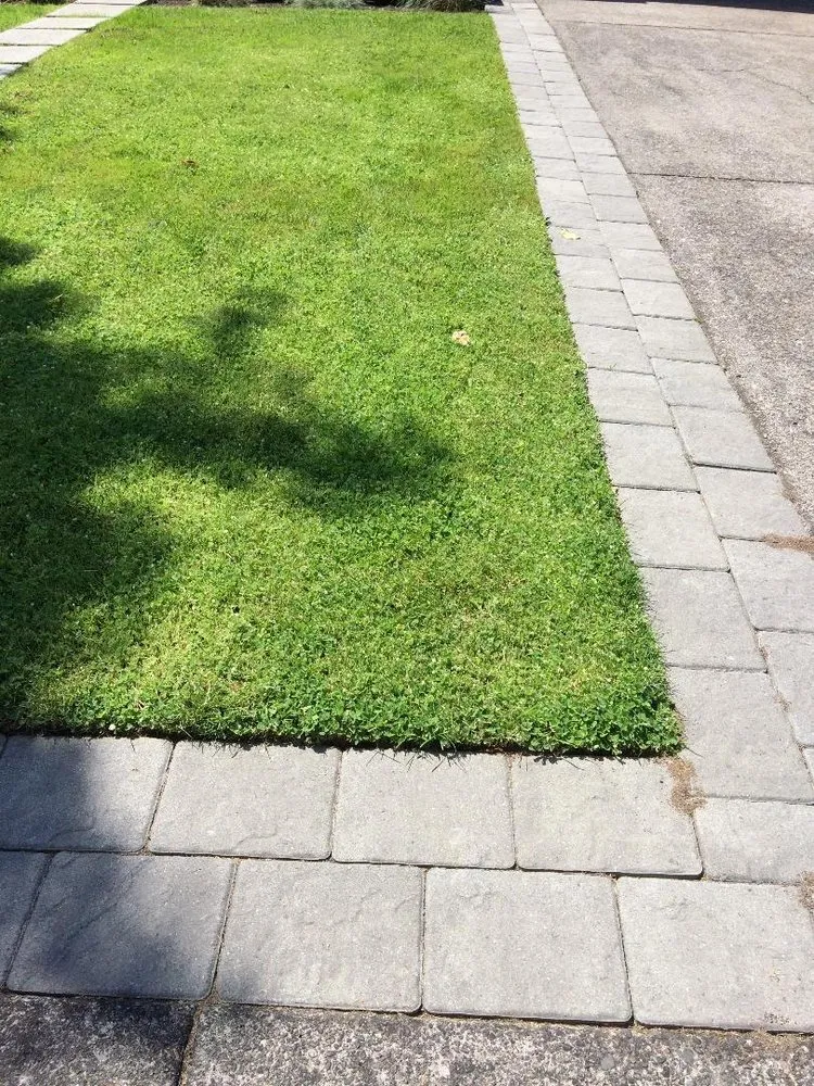 Expert lawn care service in Portland, OR - Garcia Yard Maintenance