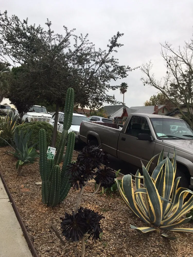 Professional garden landscaping for year-round maintenance across Los Angeles, CA - Garciagardeningservice