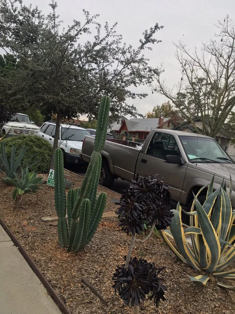 Local residential landscaping for homes across Los Angeles, CA - Garciagardeningservice