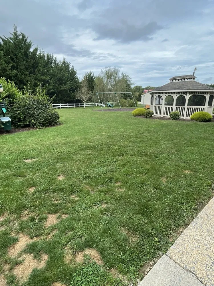 Professional lawn mowing service for outdoor upgrades in Lexington, VA by garcias -morales landscaping and more