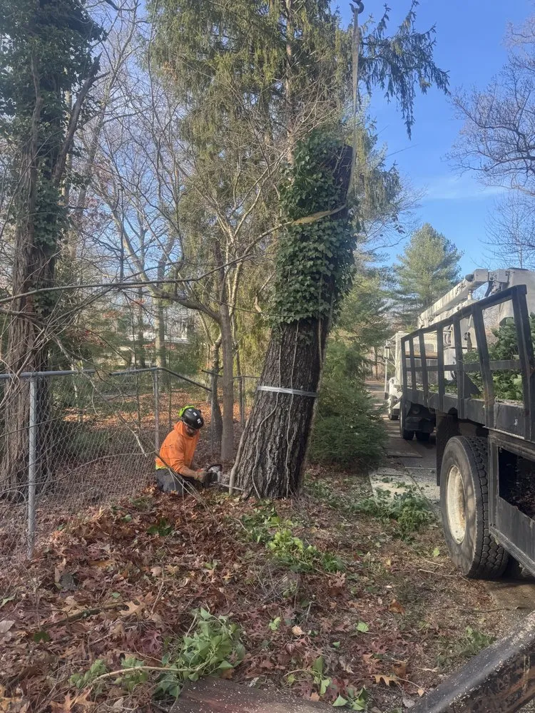 Expert yard cleanup service in Tinton Falls, NJ - Garcias & Sons Landscaping