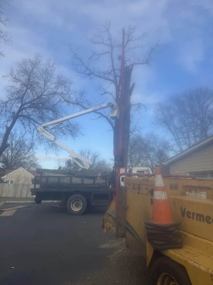 Expert yard cleanup service in Tinton Falls, NJ - Garcias & Sons Landscaping