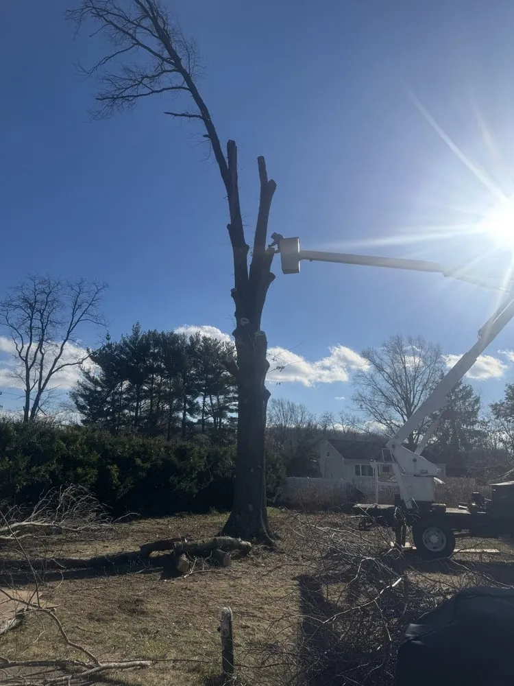 Affordable yard cleanup service for homes across Tinton Falls, NJ - Garcias & Sons Landscaping