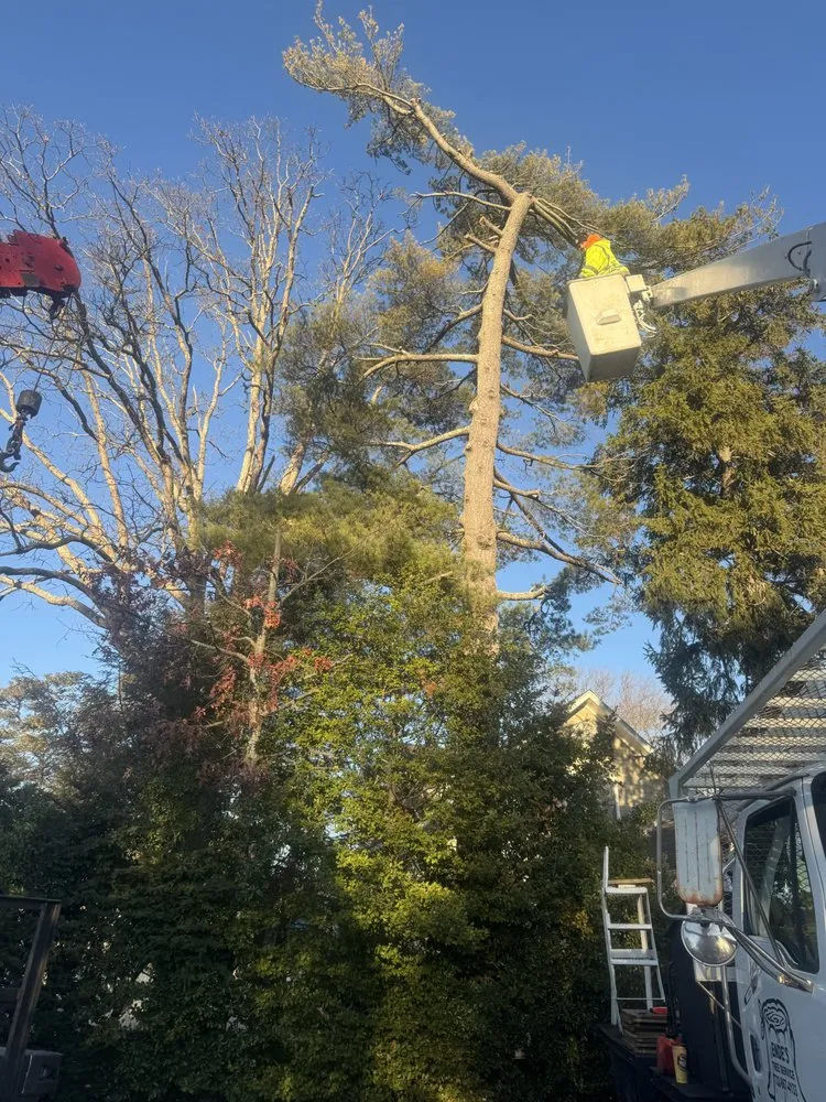 Affordable residential landscaping experts serving Tinton Falls, NJ - Garcias & Sons Landscaping