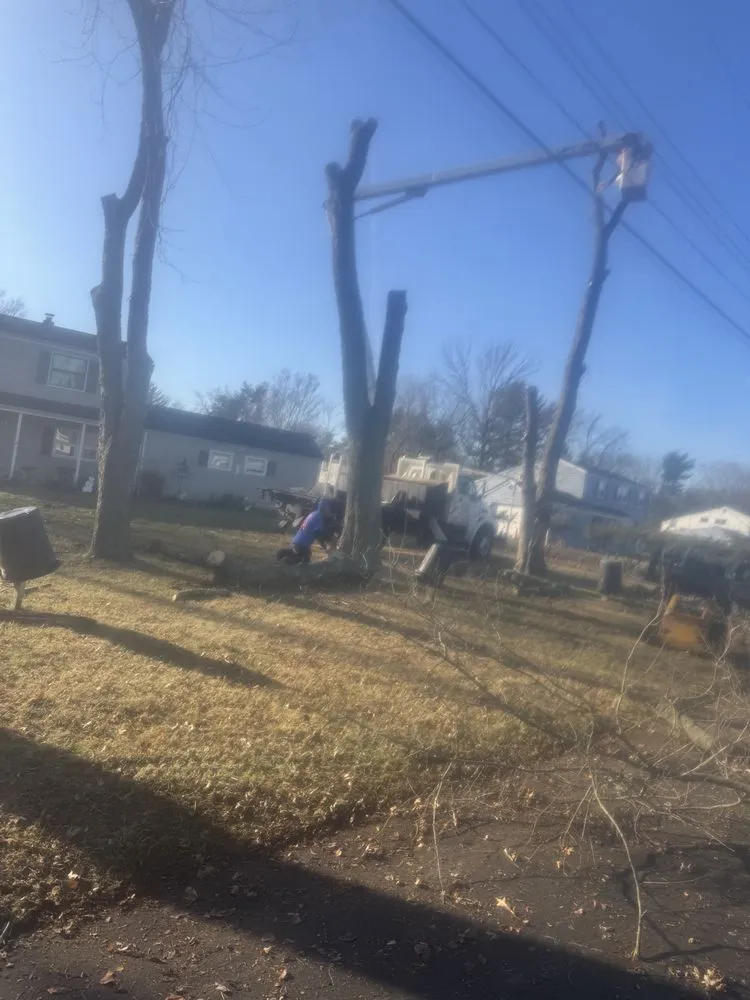 Trusted residential landscaping experts serving Tinton Falls, NJ - Garcias & Sons Landscaping