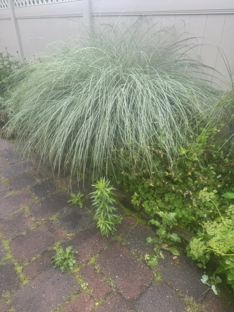 Reliable landscaping services for residential properties in Tinton Falls, NJ by Garcias & Sons Landscaping