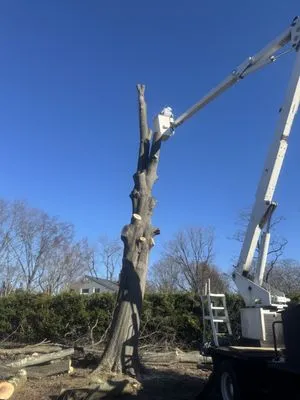 Garcias & Sons Landscaping