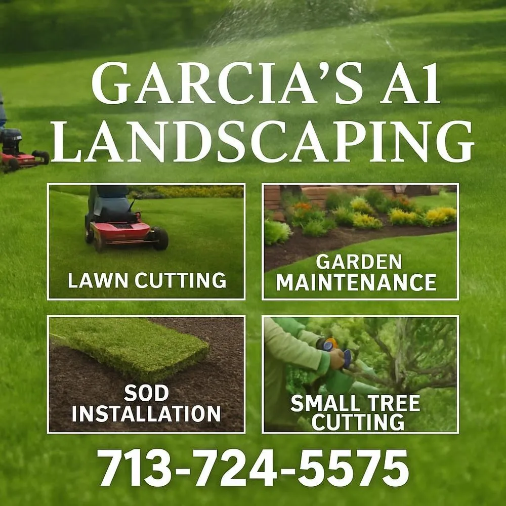 Top-rated yard cleanup service in Pasadena, TX by Garcia’s A1 Landscaping