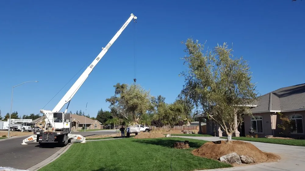 Custom landscape installation in Merced, CA by Garcias Concrete and Landscaping