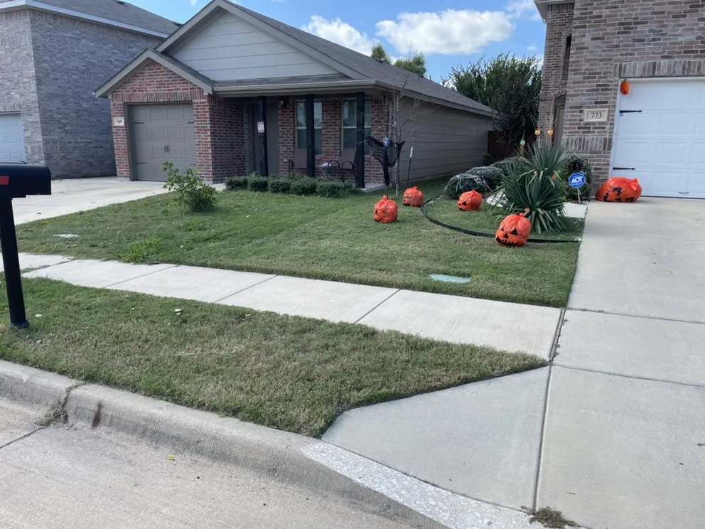 Expert yard cleanup service experts serving Fort Worth, TX - Garcia’s DFW Lawncare