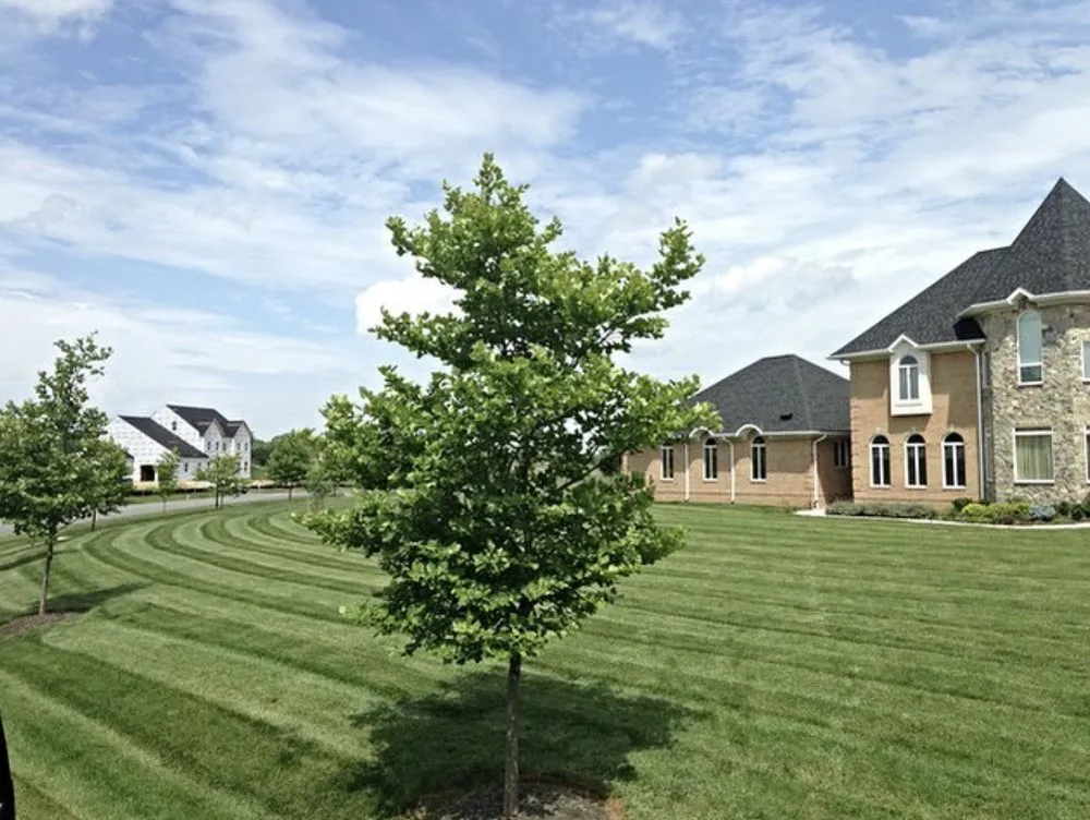 Affordable landscaping services for residential properties across Greenbelt, MD - Garcia's Fine Gardening