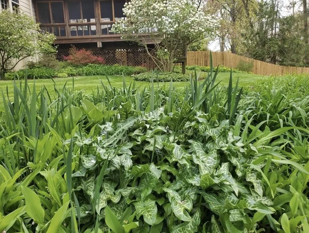 Reliable lawn mowing service in Greenbelt, MD - Garcia's Fine Gardening