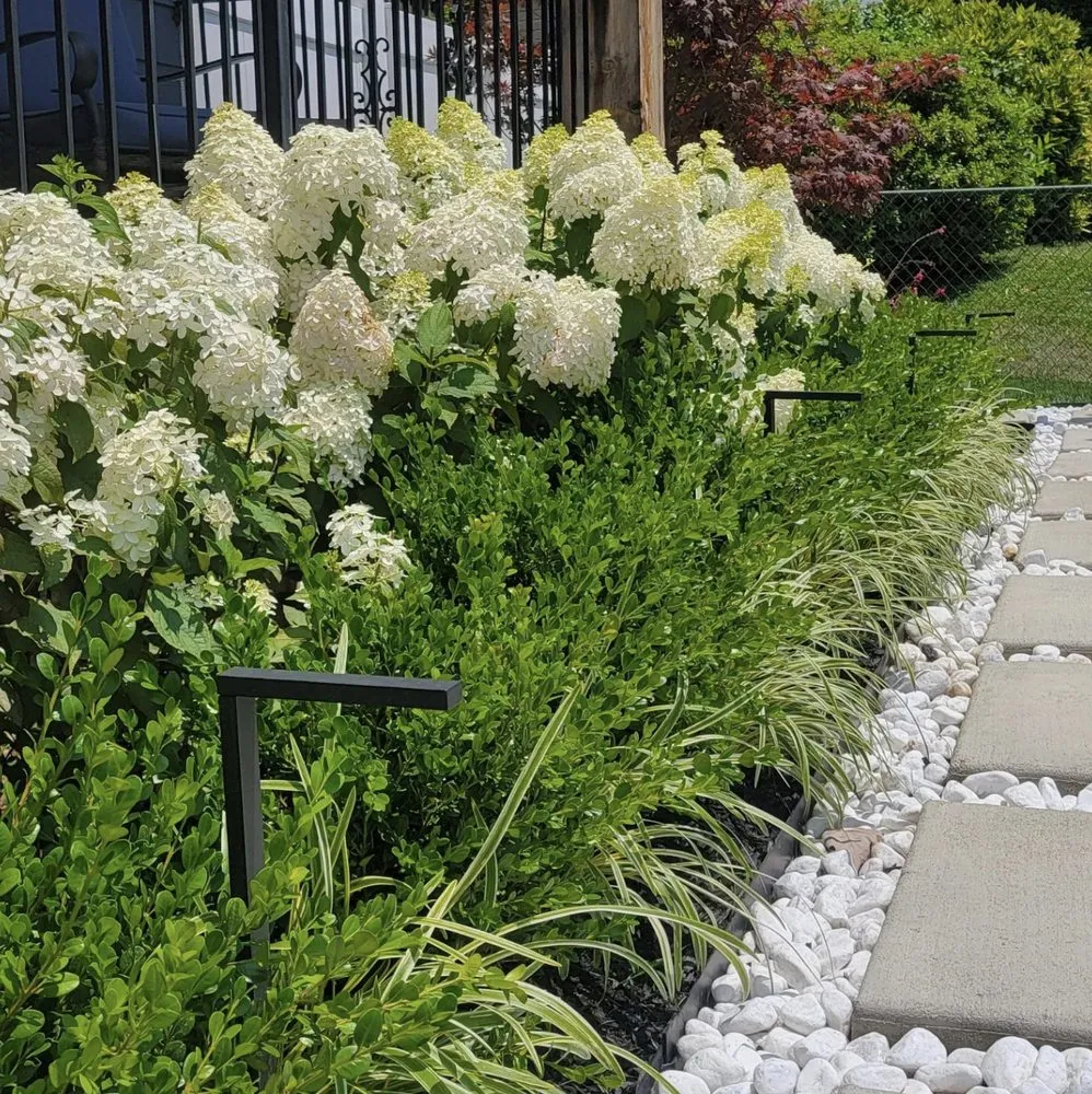 Reliable garden landscaping in Greenbelt, MD - Garcia's Fine Gardening