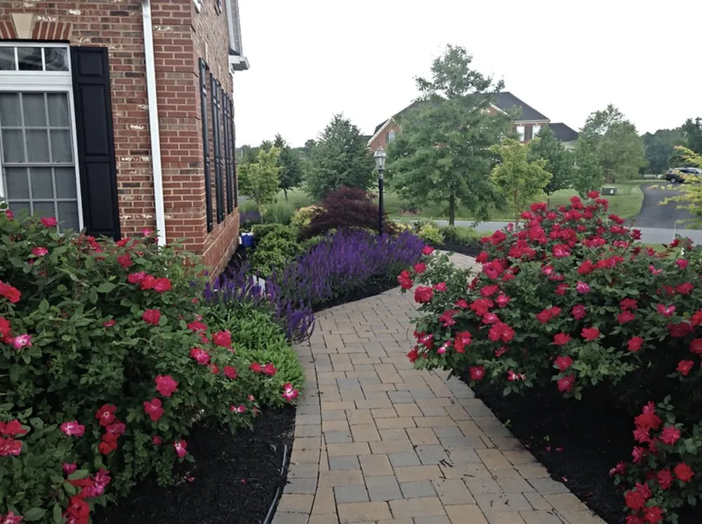 Professional lawn care service experts serving Greenbelt, MD - Garcia's Fine Gardening