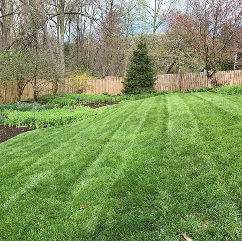 Local landscape installation in Greenbelt, MD - Garcia's Fine Gardening