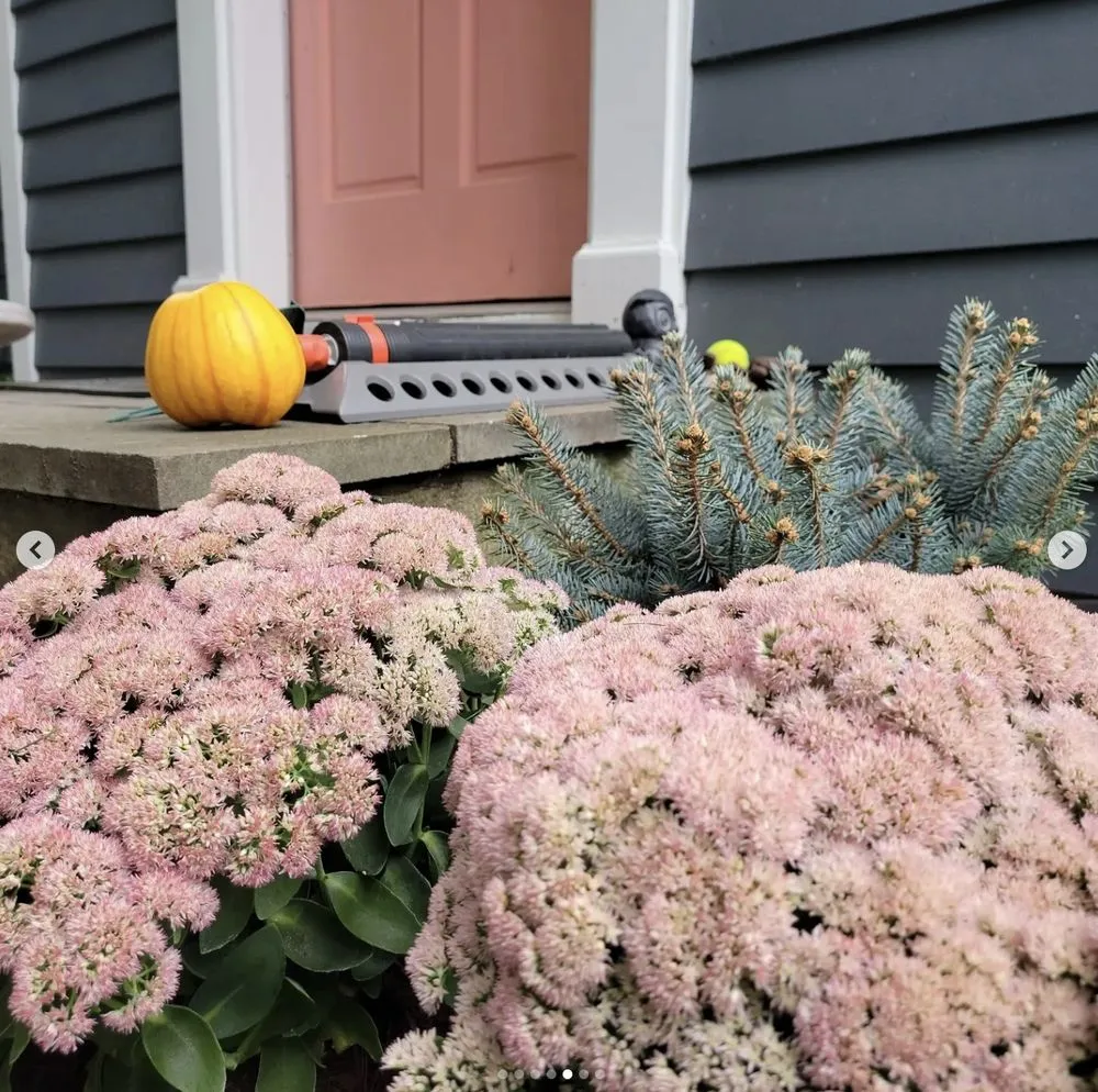 Top-rated landscape design for year-round maintenance across Greenbelt, MD - Garcia's Fine Gardening