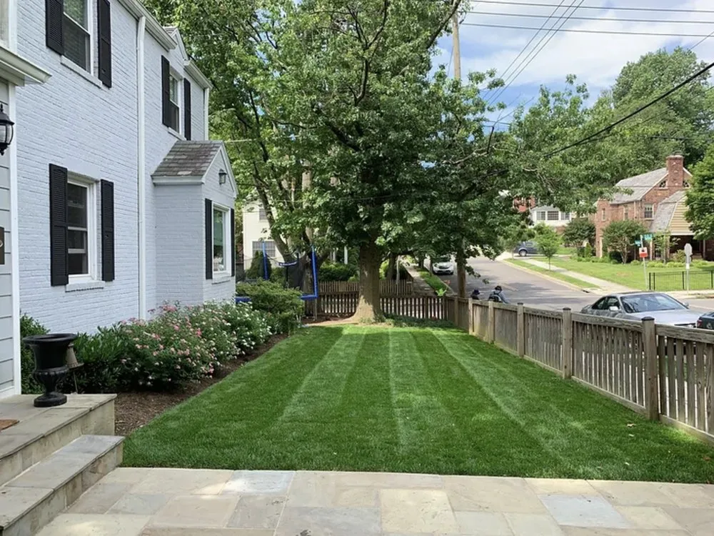 Local lawn care service in Greenbelt, MD by Garcia's Fine Gardening