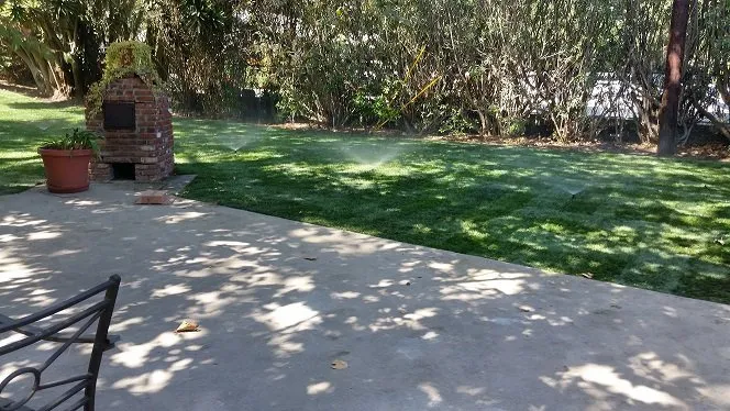 Custom lawn care service in Hemet, CA - Garcia's Gardening
