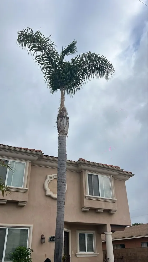 Trusted lawn mowing service for residential properties across Los Angeles, CA - Garcias Gardening