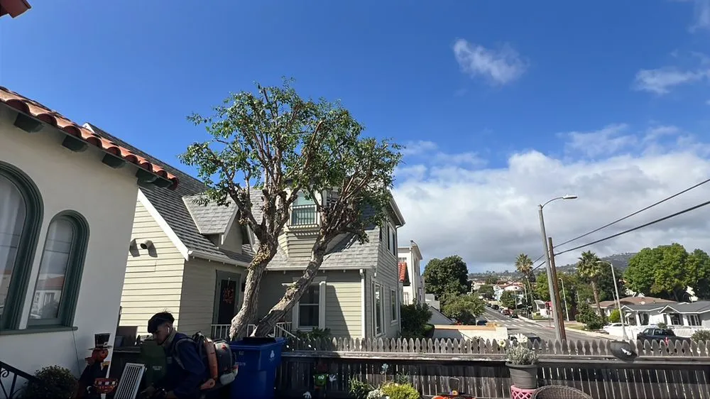 Affordable garden landscaping in Los Angeles, CA by Garcias Gardening