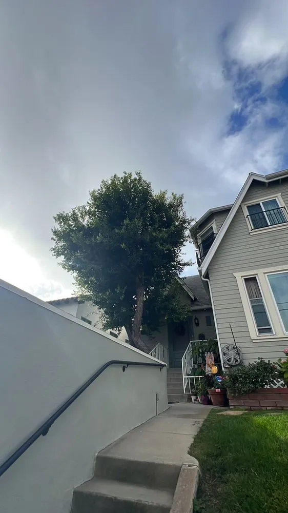 Custom outdoor landscaping in Los Angeles, CA - Garcias Gardening