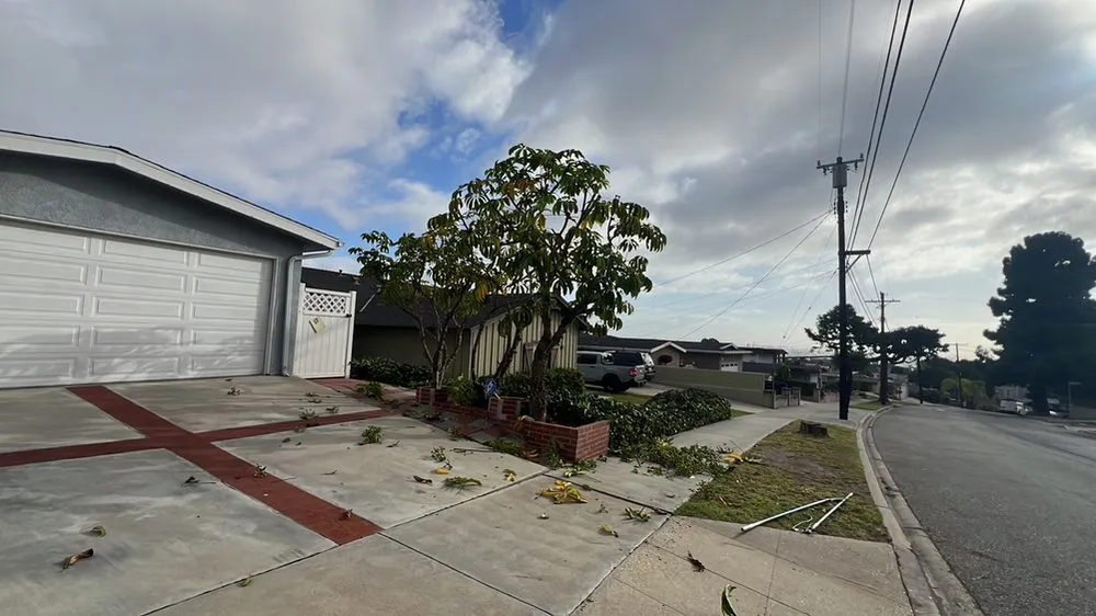 Professional residential landscaping experts serving Los Angeles, CA - Garcias Gardening