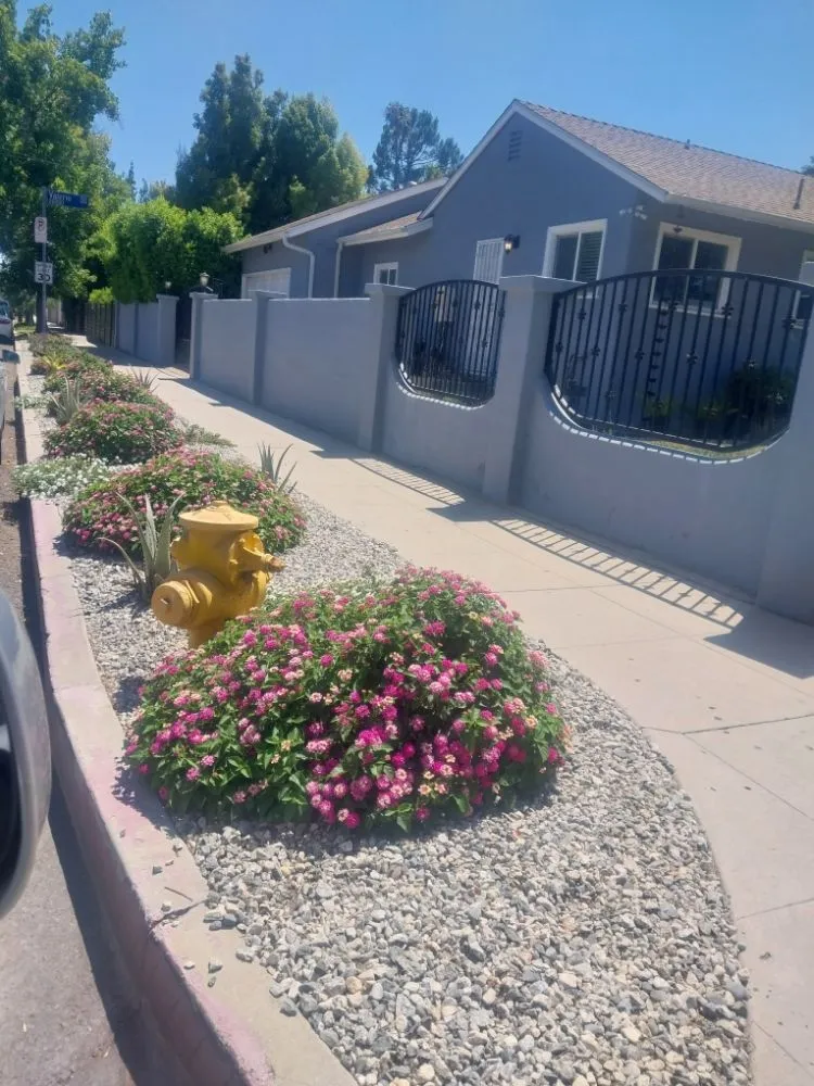 Reliable lawn care service experts serving San Fernando, CA - Garcias Gardening