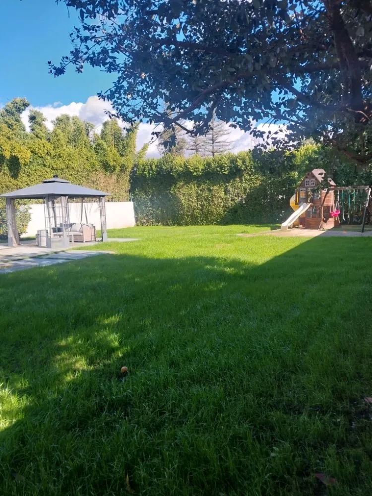 Reliable yard maintenance for homes across San Fernando, CA - Garcias Gardening