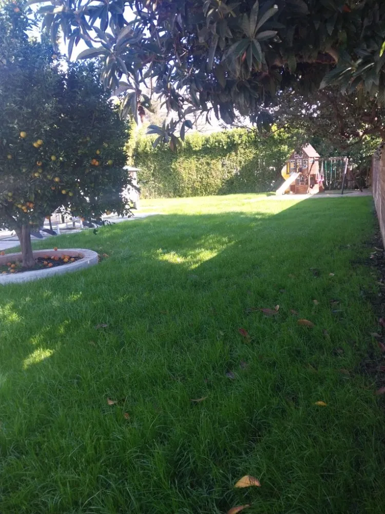 Local landscape design for year-round maintenance in San Fernando, CA by Garcias Gardening