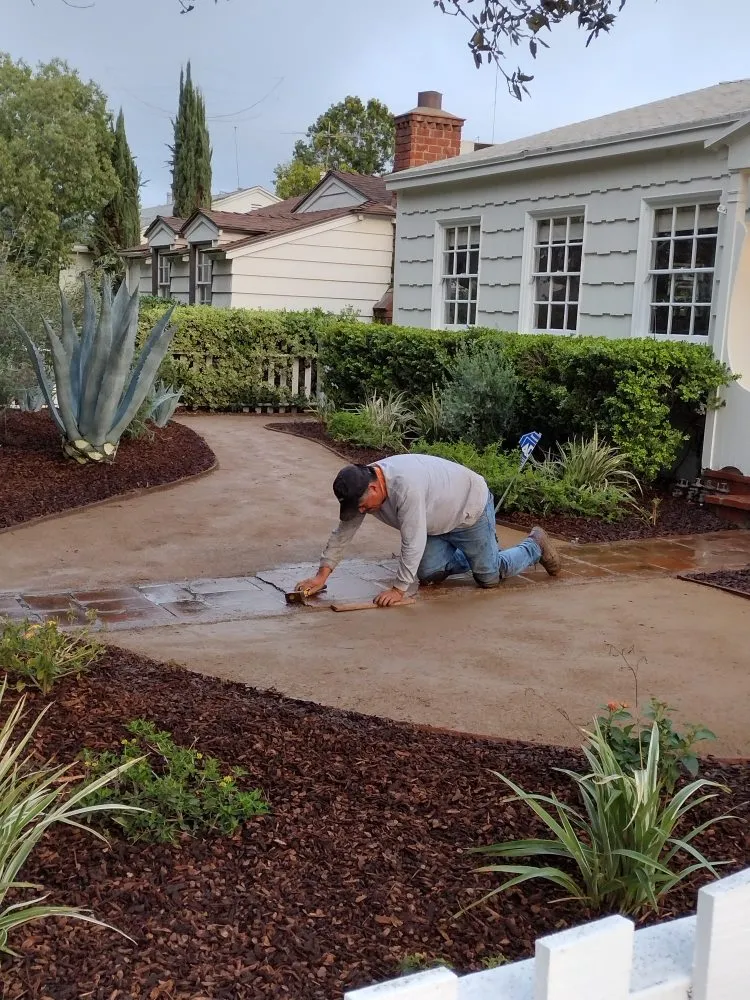 Professional yard maintenance for residential properties across San Fernando, CA - Garcias Gardening