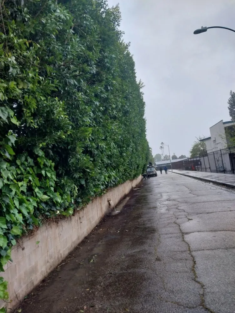 Trusted outdoor landscaping in San Fernando, CA - Garcias Gardening