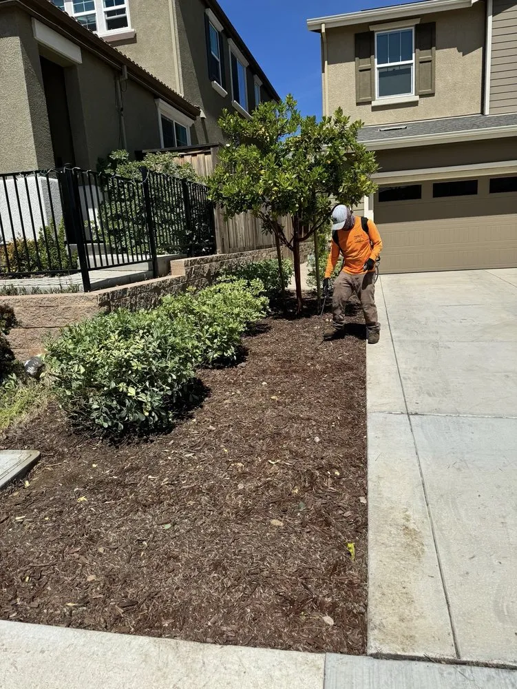 Top-rated residential landscaping in Manteca, CA - Garcia’s Gardening Service