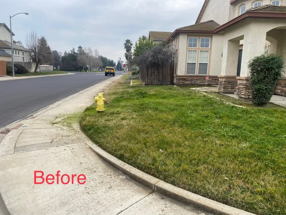 Expert yard cleanup service experts serving Manteca, CA - Garcia’s Gardening Service
