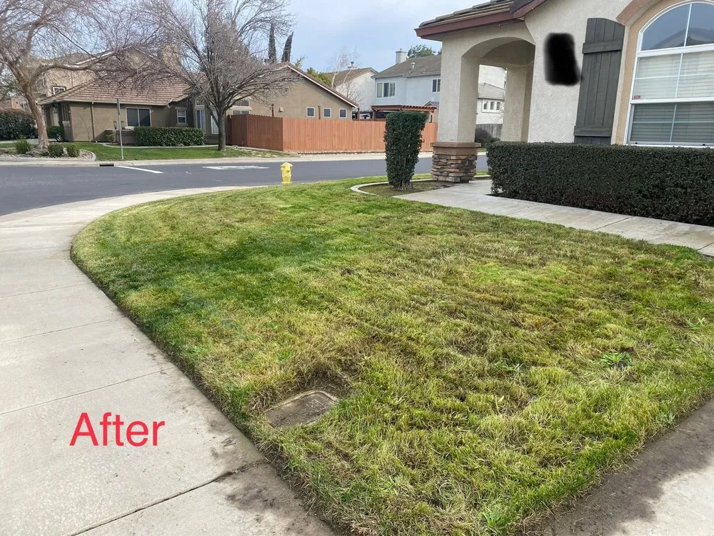 Top-rated outdoor landscaping for outdoor upgrades in Manteca, CA by Garcia’s Gardening Service