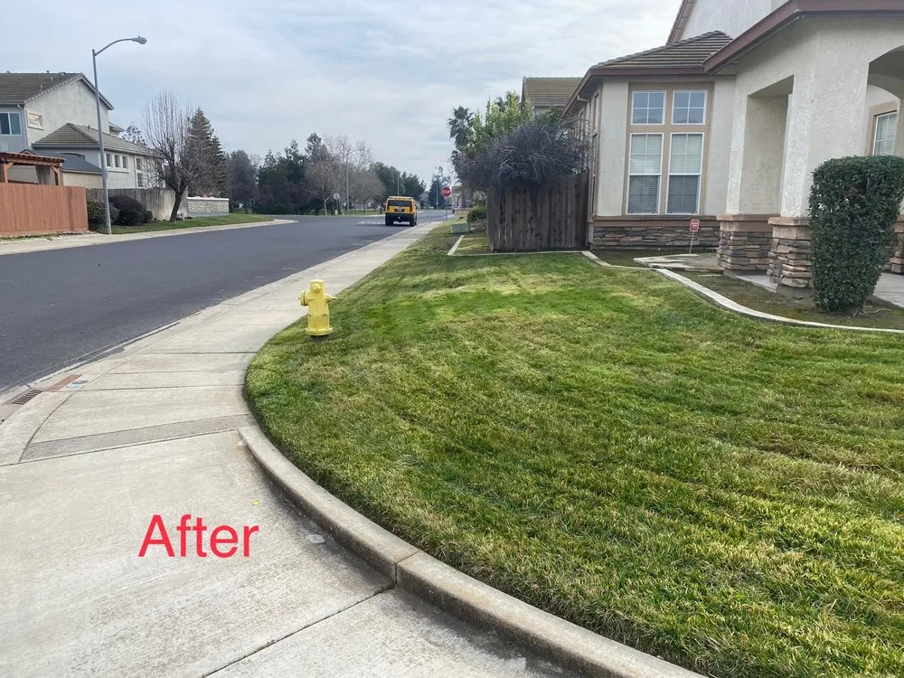 Affordable lawn care service experts serving Manteca, CA - Garcia’s Gardening Service