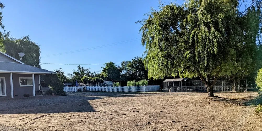 Local lawn mowing service experts serving Manteca, CA - Garcia’s Gardening Service