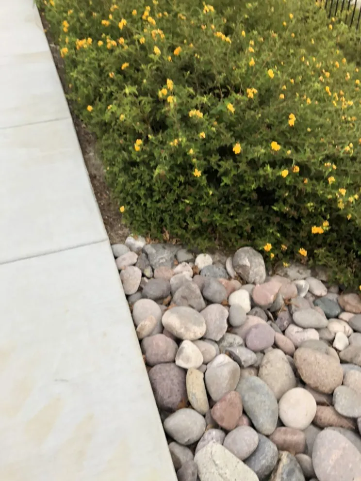 Professional residential landscaping in Ontario, CA by Garcia's Gardening Service