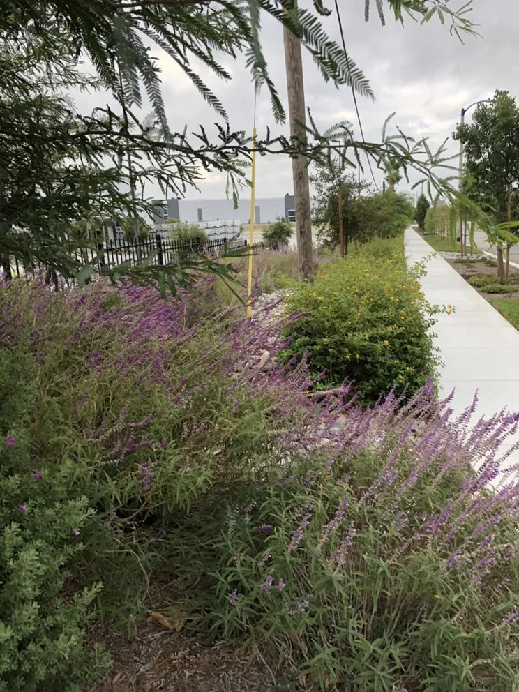 Professional yard cleanup service in Ontario, CA by Garcia's Gardening Service