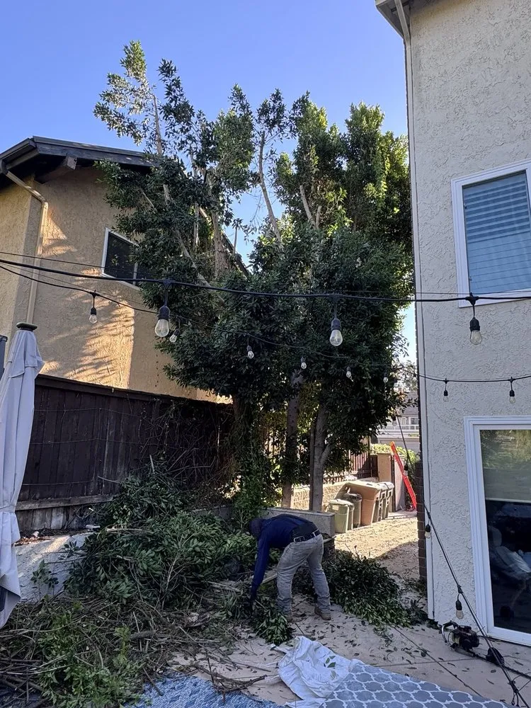 Reliable garden landscaping in Brea, CA - Garcias Gardening Services