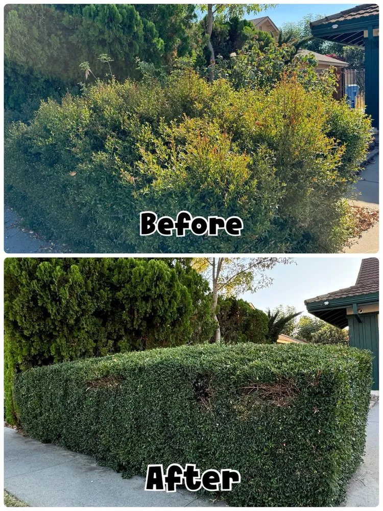 Reliable landscape design for year-round maintenance across Brea, CA - Garcias Gardening Services