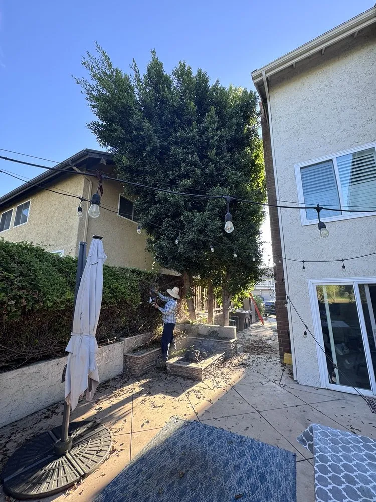 Custom garden landscaping experts serving Brea, CA - Garcias Gardening Services