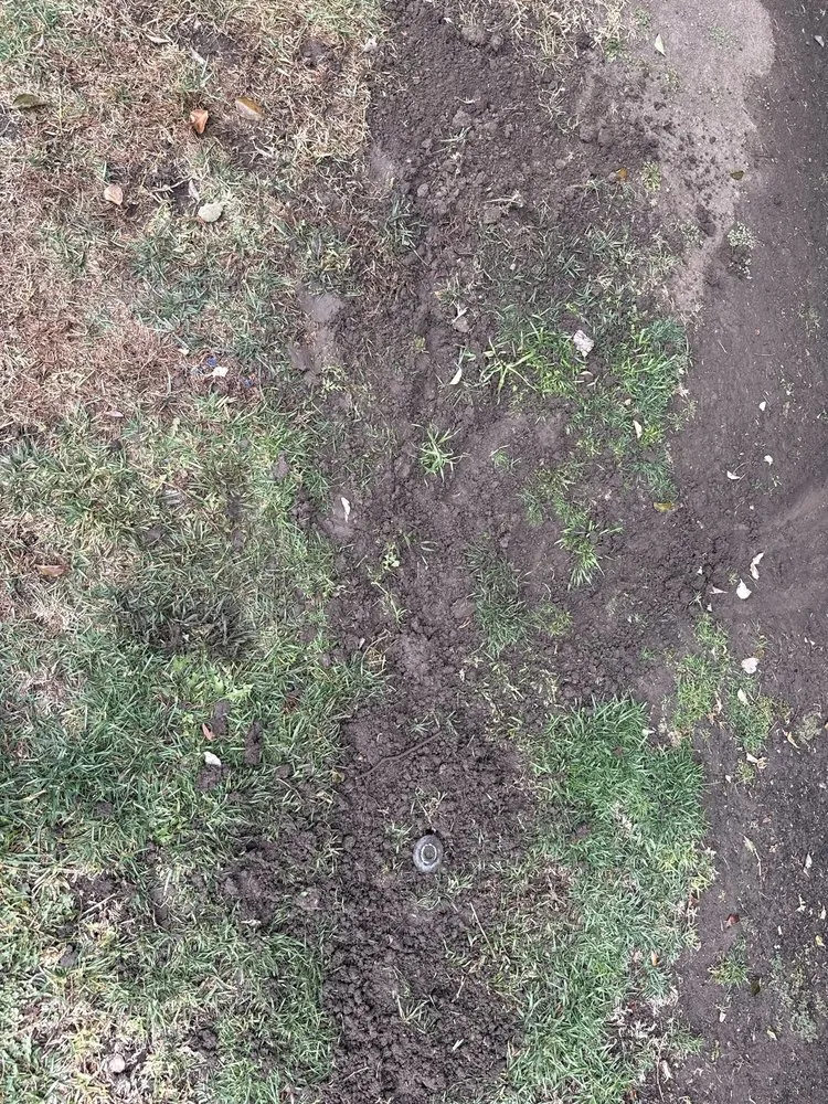 Reliable residential landscaping in Brea, CA by Garcias Gardening Services