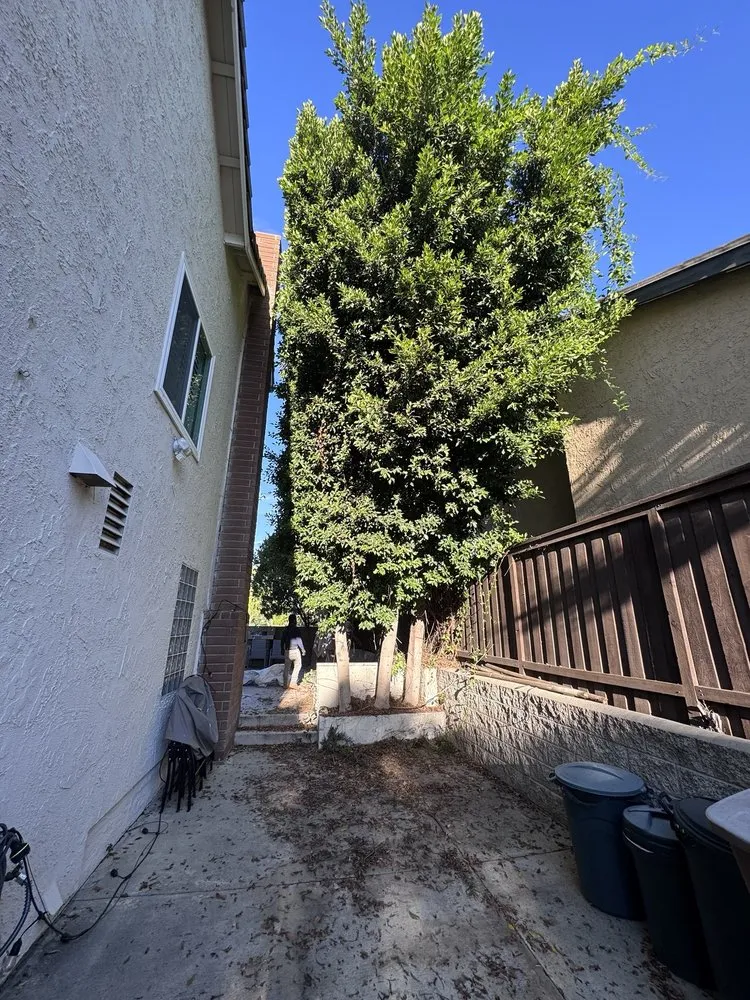 Trusted outdoor landscaping in Brea, CA - Garcias Gardening Services