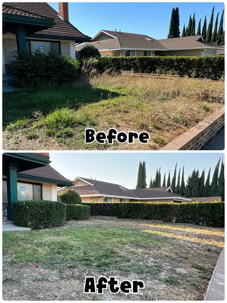 Expert lawn care service for outdoor upgrades in Brea, CA by Garcias Gardening Services