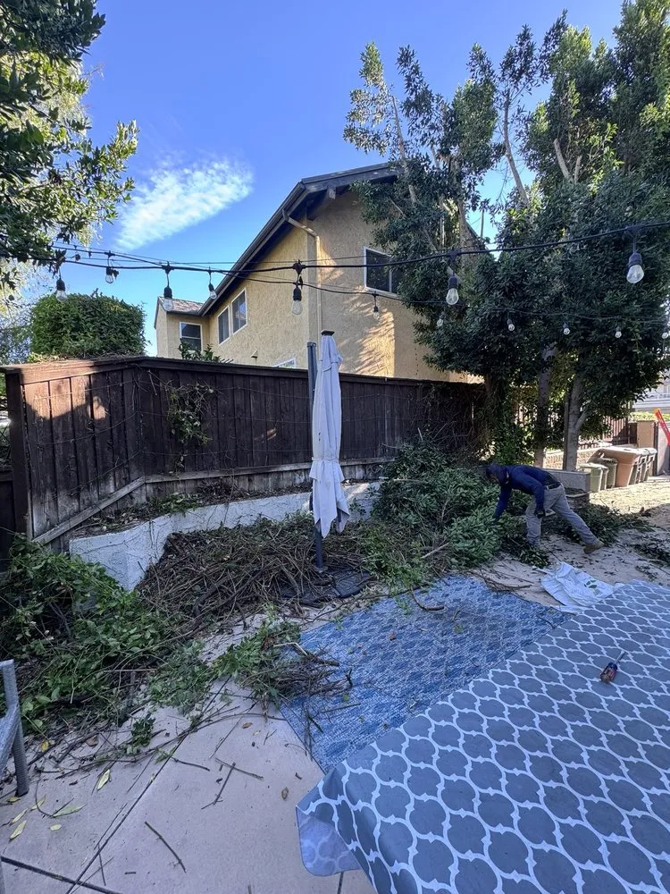 Affordable lawn mowing service near you across Brea, CA - Garcias Gardening Services