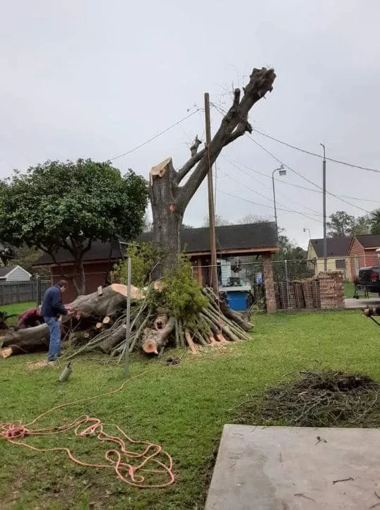 Top-rated residential landscaping near you across San Diego, CA - Garcia’s L Lawn care