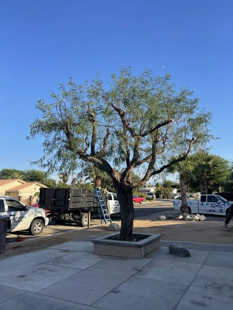 Affordable yard cleanup service for outdoor upgrades across Desert Hot Springs, CA - Garcia’s landscape & gardening