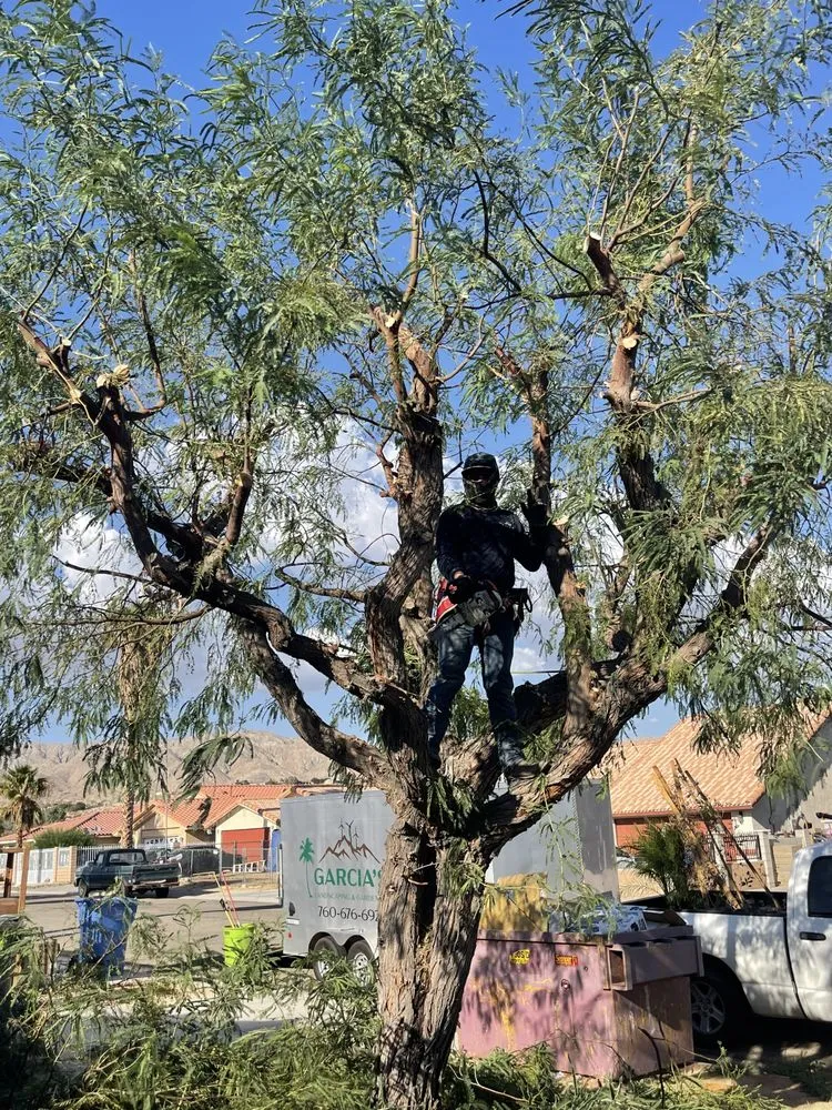 Reliable residential landscaping for residential properties across Desert Hot Springs, CA - Garcia’s landscape & gardening