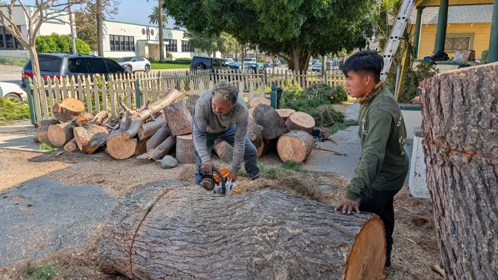 Expert lawn care service for outdoor upgrades across La Puente, CA - Garcias Landscape and Tree Triming Service